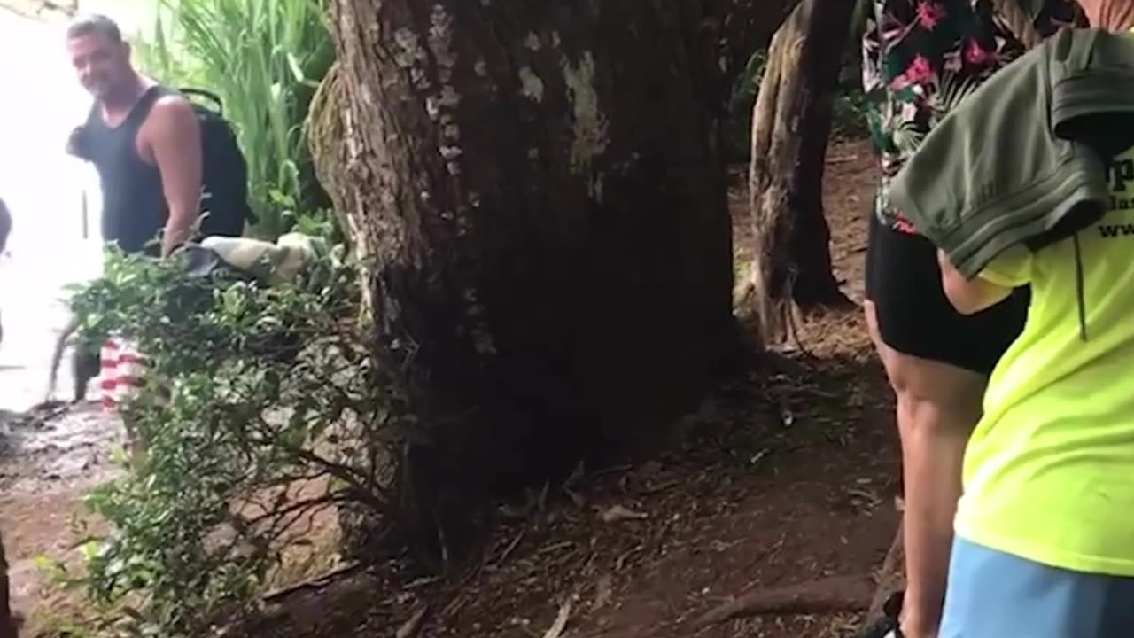 The end 😂😂😂 #funny #fails #shorts #reels #viral #humorexpose