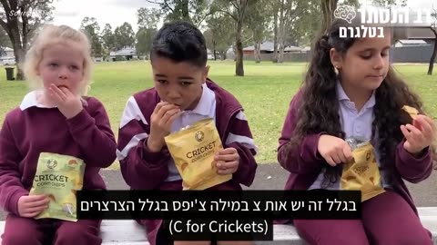 באוסטרליה מנרמלים אכילת חטיפי ציפס המיוצרים מחלקי צרצרים וחרקים שהוכנסו לכ-1000 בתי ספר