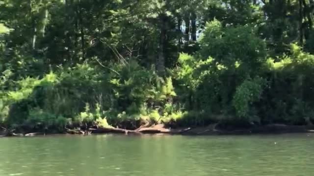 Khaki kayaking the crow hop dam