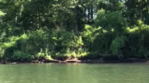 Khaki kayaking the crow hop dam