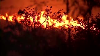 Brazil firefighters tackle Juquery state park fire