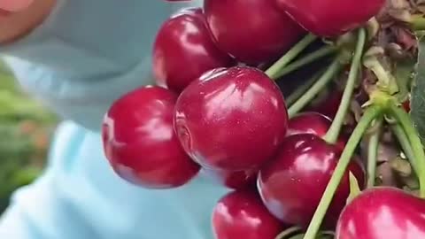 OMG 😋🤤👩‍🌾#fruit #relax #usa #asmr #satisfying