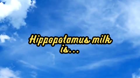 Animal Facts Hippopotamus Milk #shorts