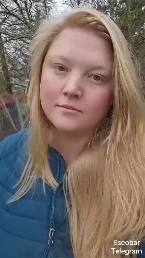 Ração Purina, não permite que as galinhas botem ovos?