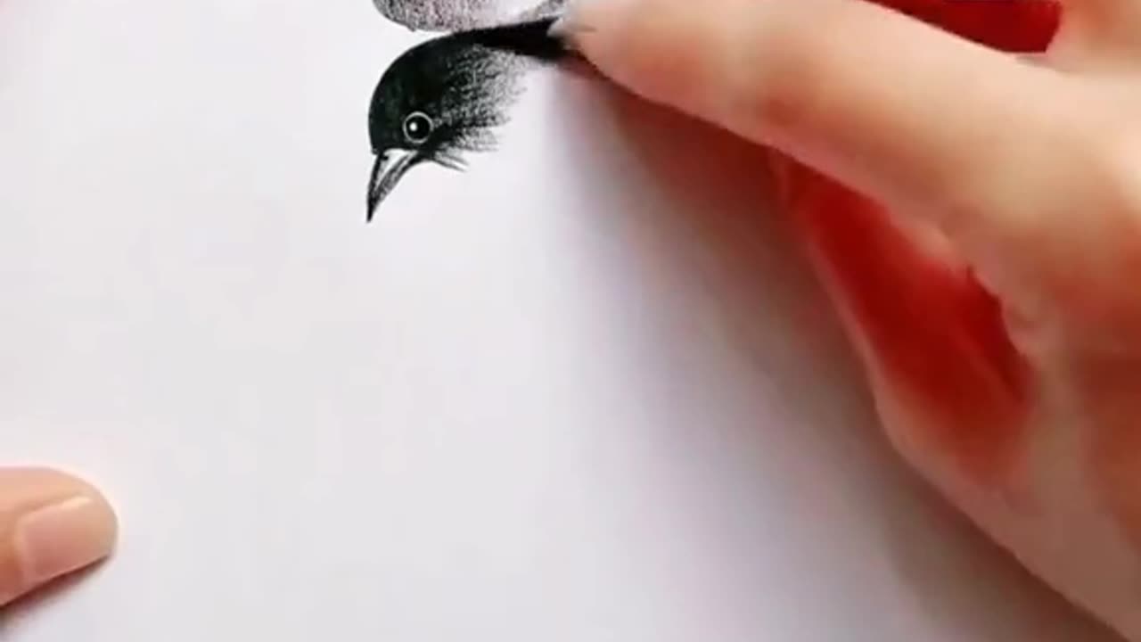 Draw a Sweet Birdy