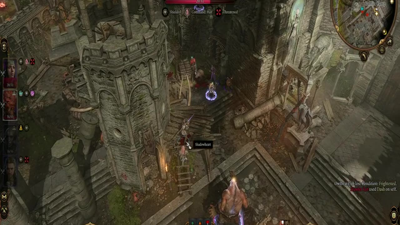 Baldur's Gate 3(Good)-Trying To Save The Little Bear