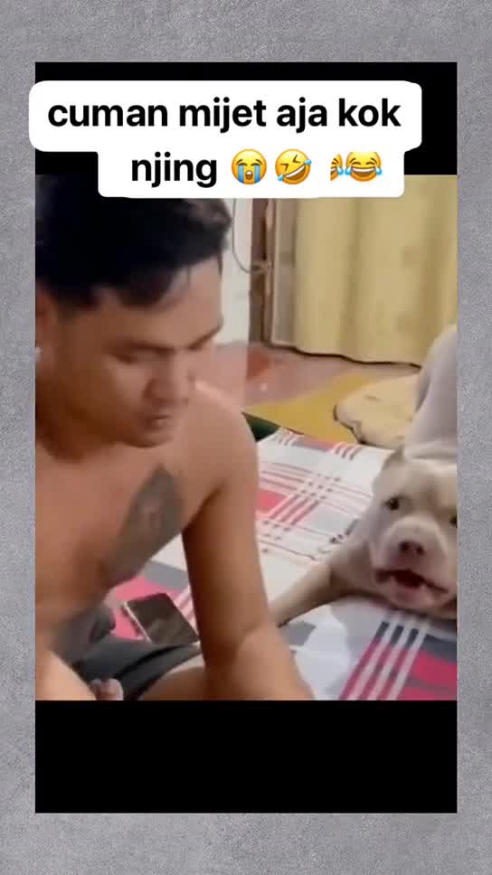 just massage it🤪🤪🤪