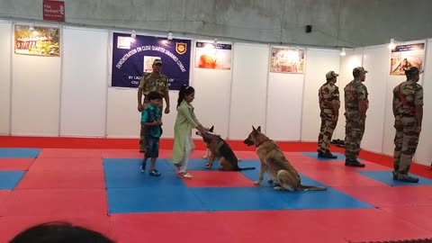 Dog traning 🦴🦴