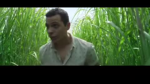 The movie The Tall Grass