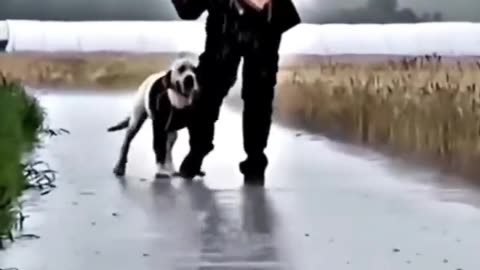 Shorts - Rain..