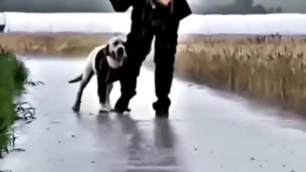 Shorts - Rain..