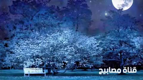 سورة واحده أقرأها ٧ مرات قبل نومك تعرف من سحرك ومكان سحرك