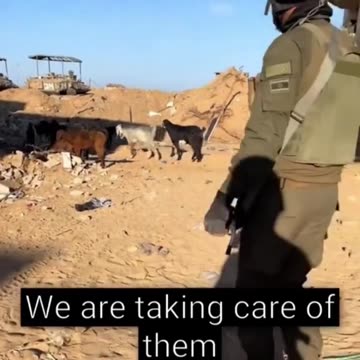 IDF SOLDIER DOR DAHAN SAYS "THE ONLY UNINVOLVED CIVILIANS IN GAZA"