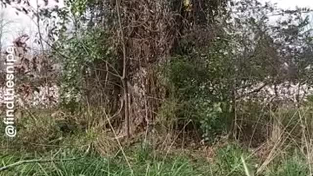 Can You Spot The Sniper