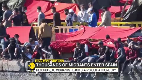 Spain Migrant Crisis: Spain witnesses unprecedented migration | Latest World English News | WION