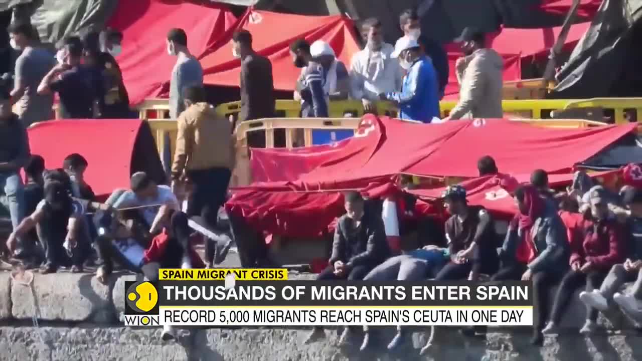 Spain Migrant Crisis: Spain witnesses unprecedented migration | Latest World English News | WION