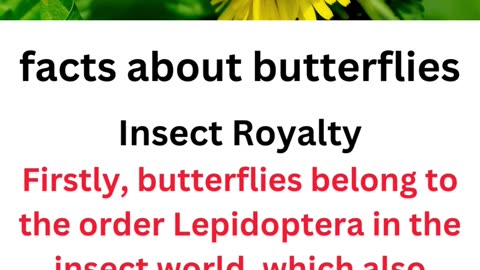 facts about butterfies...0/25