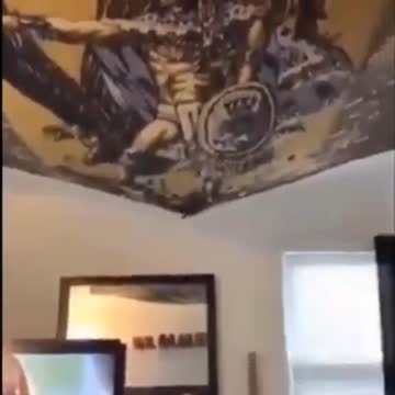 compilation | baby animals 79 | cute animals 79 | kids #shorts