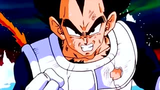 Vegeta's Tribute The Battleworn Saiyan/Namek Saga