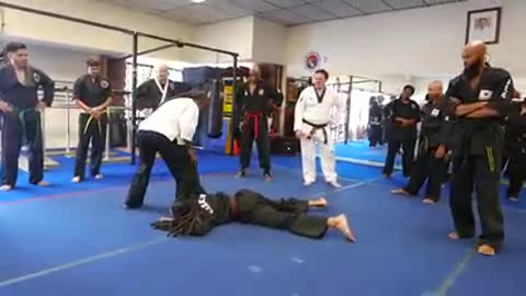 Hapkido