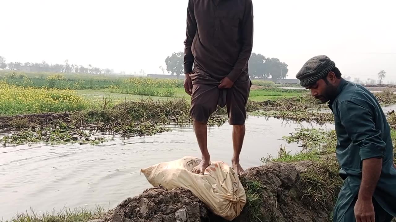 Our villiage flood number of akar is distroyed