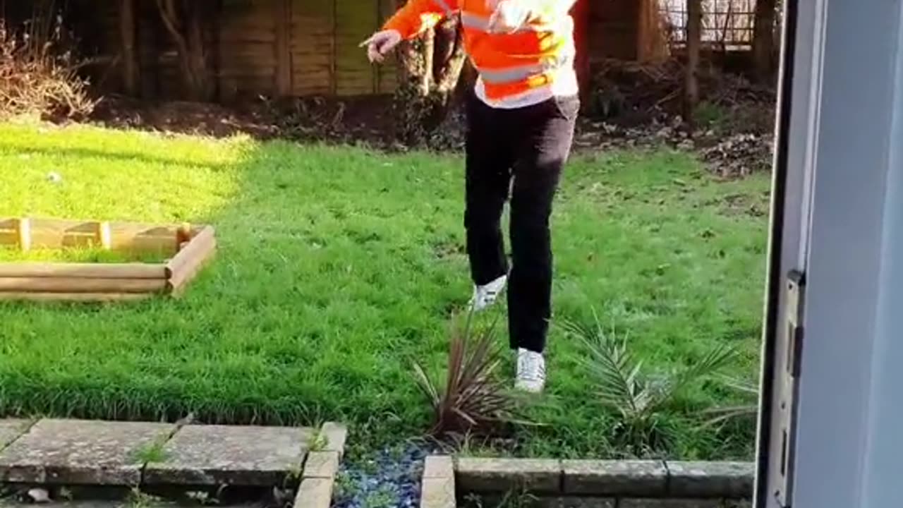 Types of deliveries UK Hilarious