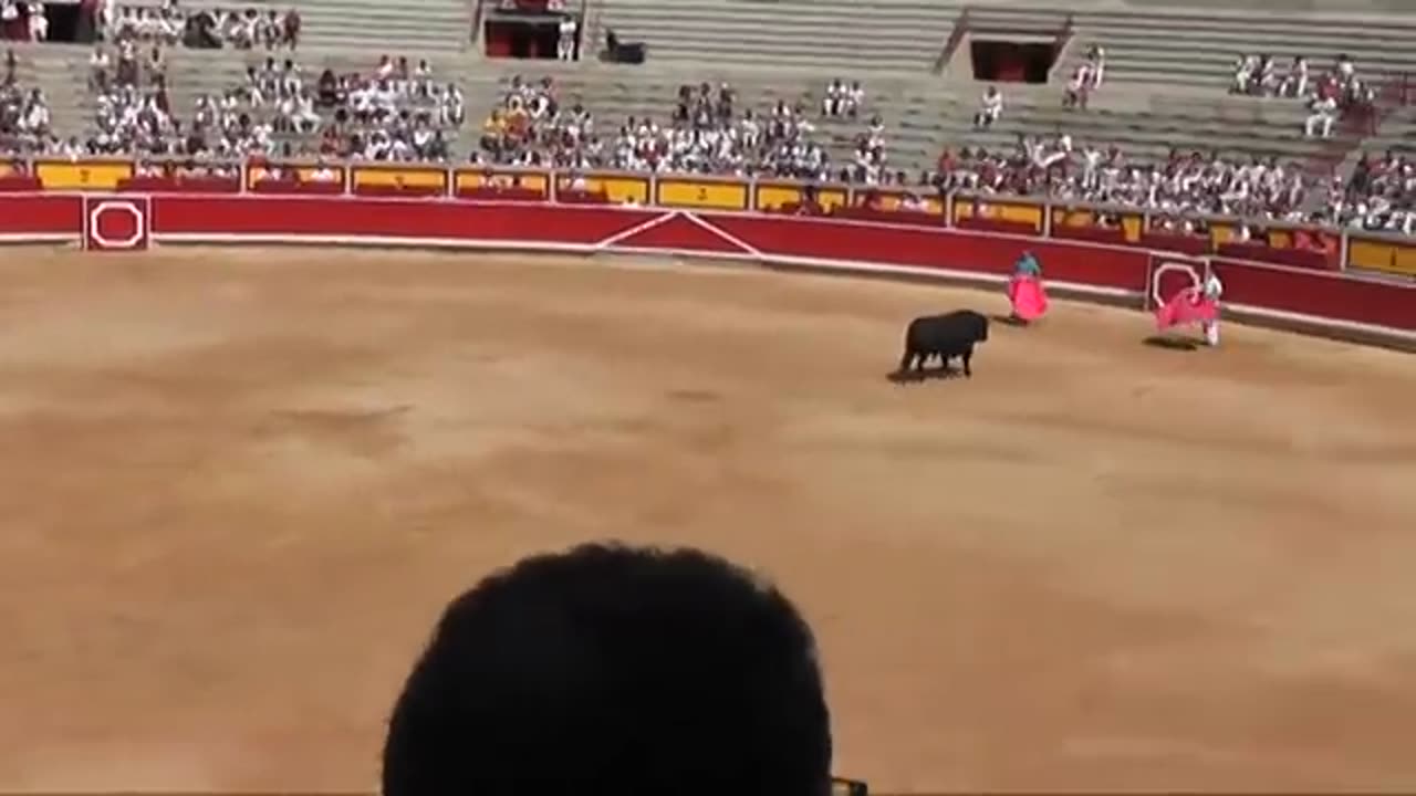 corrida de toros .aventura ver este vídeo