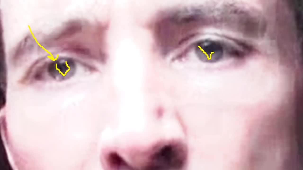 118. AM I SHAPESHIFTING RICHARD BRUCE SELF ANALYSIS