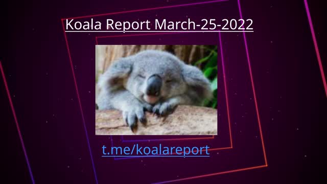 KoalaReport