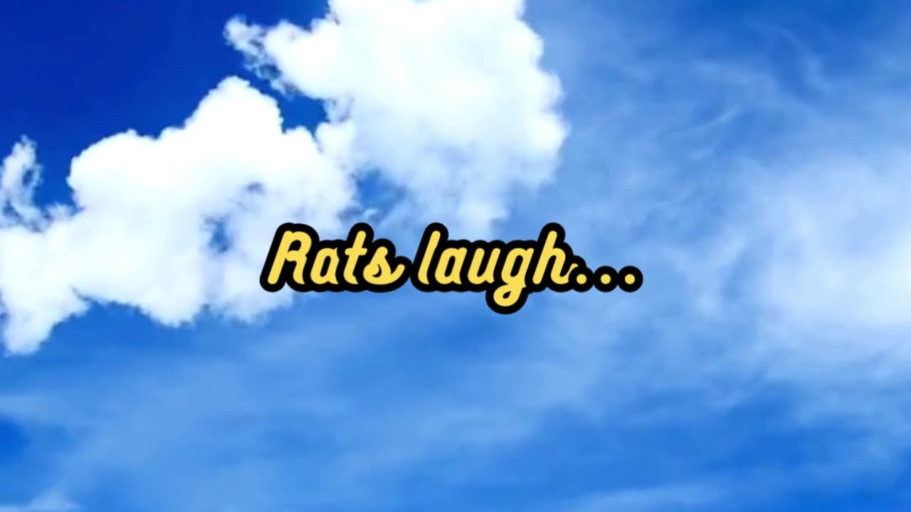 Animal Facts Rat Laughter #shorts