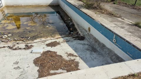 2023-04-23 (2) - 14 ans - Twitch Triskelina (clip)