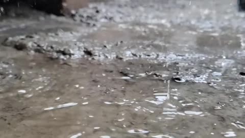 Feel the slow mo vibe