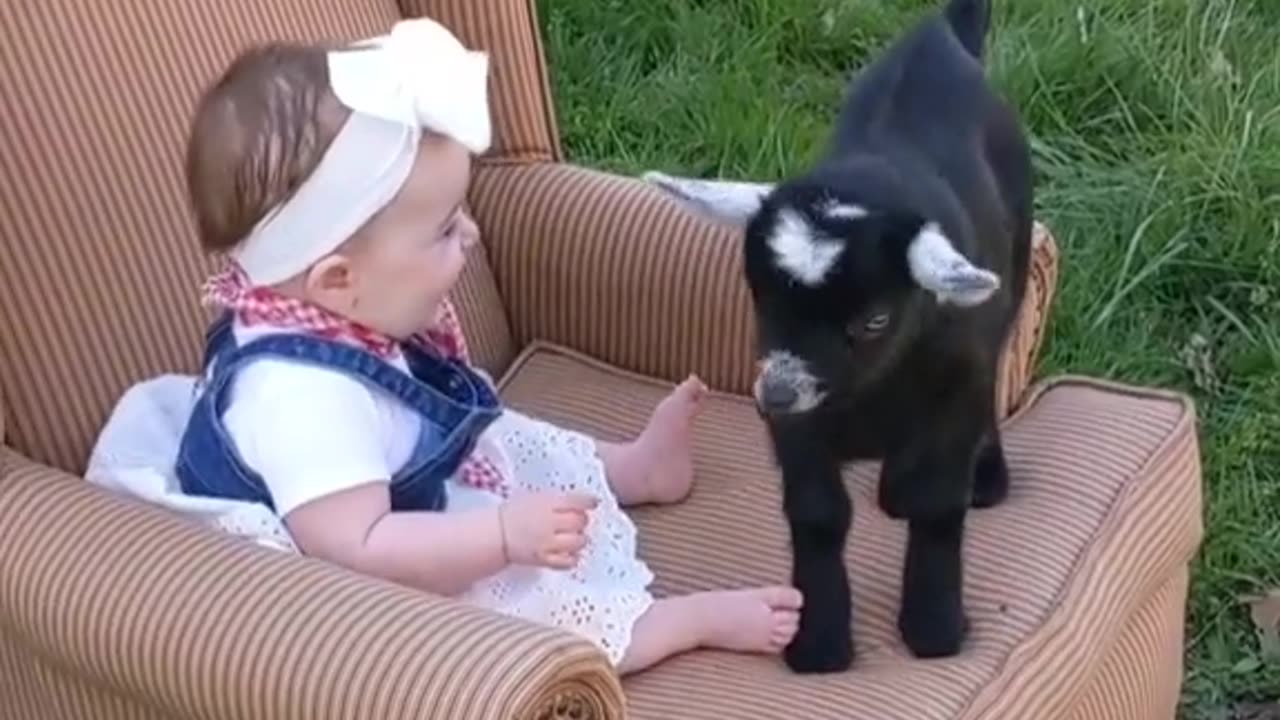 Baby & baby goat