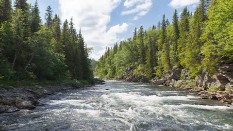 stress reliever bedtime video beautiful scenery