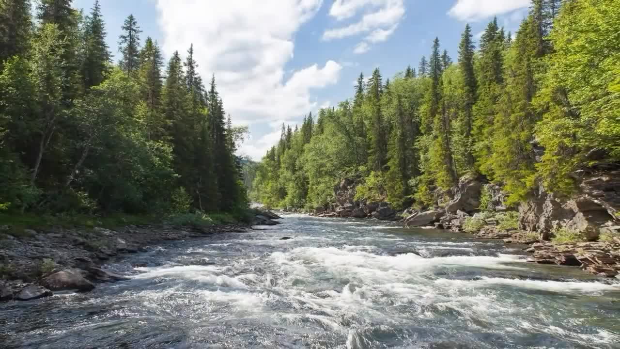 stress reliever bedtime video beautiful scenery