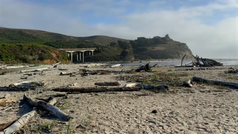 Hidden Gem: San Gregorio State Beach | California's Most Scenic Hidden Coast