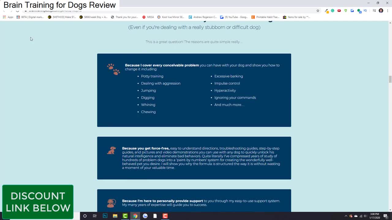 Brain Training for Dogs - Unique Dog Training Course! Easy Sell!