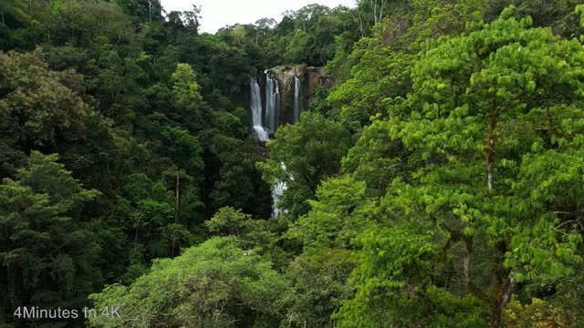 Amazon Rainforest In 4K For 4 Minutes