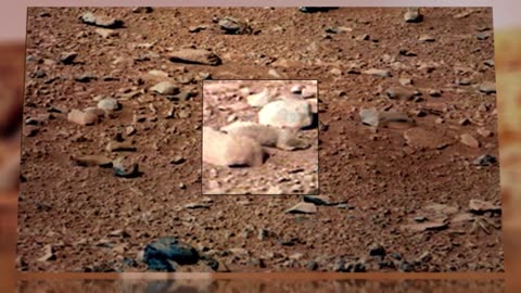 NASA’s Curiosity rover finds a Rat on Mars!