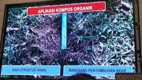 P08 Pengurusan Pokok Durian Matang, Ali Hanafiah, Fri 5 July 2024 @ BGR Durian Festival and Awards