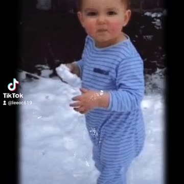 Lee o'connor and brothers