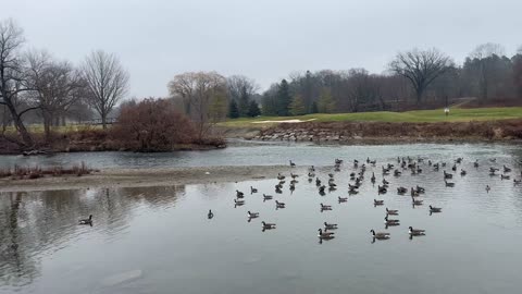 Beautiful Christmas Day Toronto