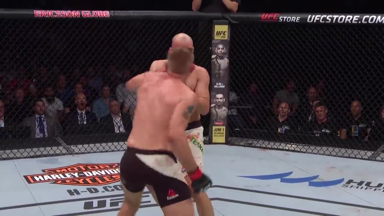 top UFC finish