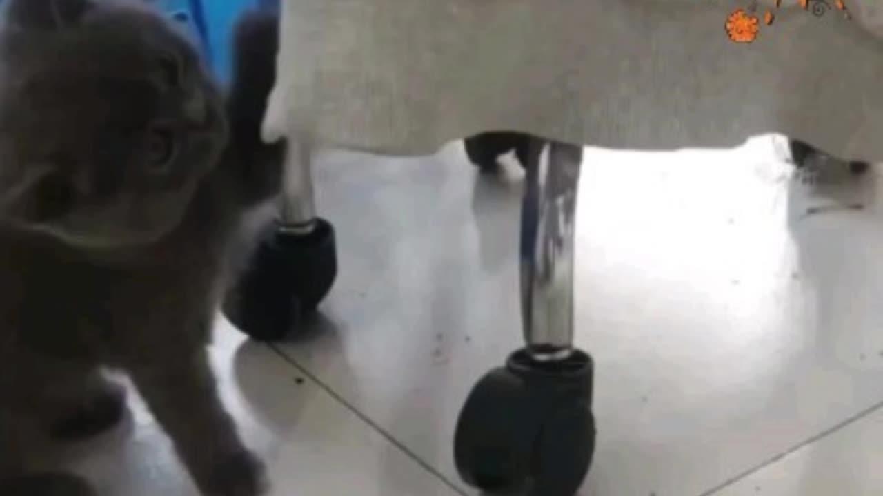 Let me push