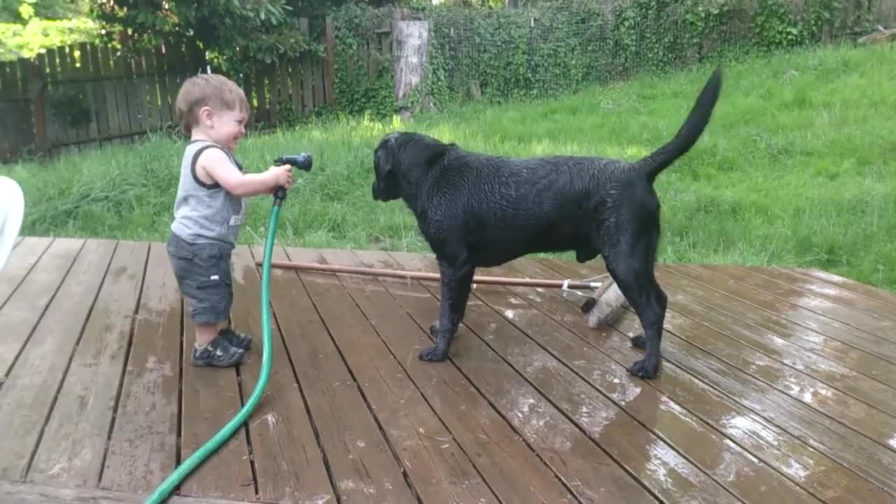 Best Friends - Russell and Cooper - Baby Laughing - Dog Bath