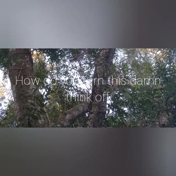 This is just a test of the grandpa 👴 I all ready forgot who I am