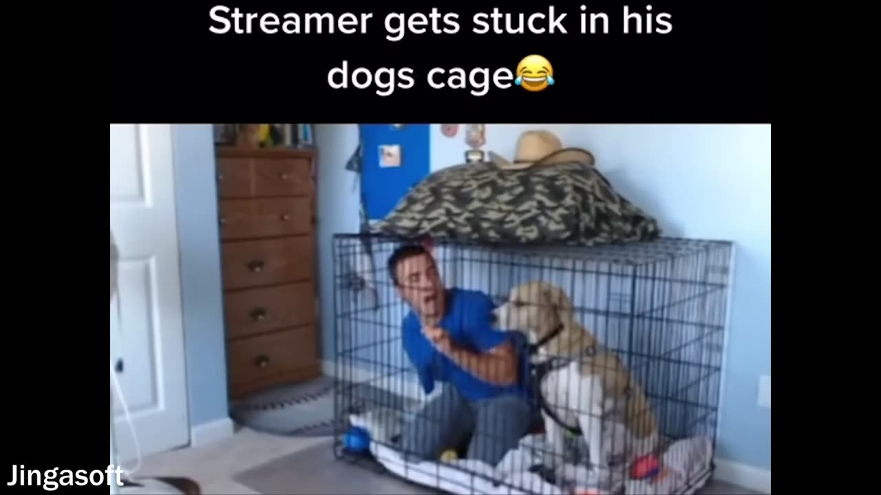try not to laugh