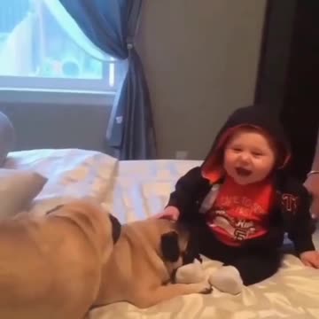 HAPPY BULLDOG INTERTAINING CUTE BABY.mp4
