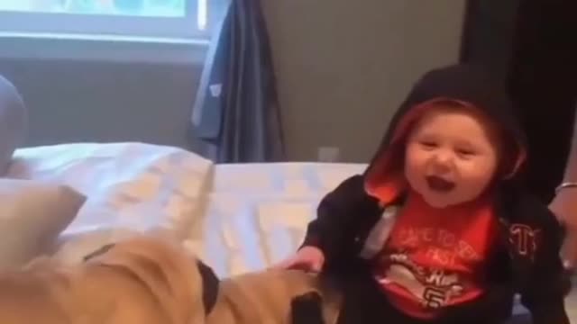 HAPPY BULLDOG INTERTAINING CUTE BABY.mp4