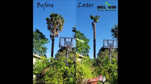 Del Cid Tree Service - (916) 398-4287